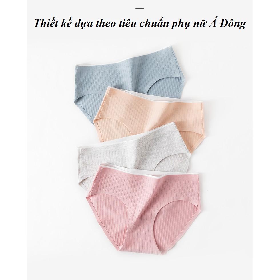 Quần Lót Cotton Gân Tăm Không Đường May Kháng Khuẩn CT06