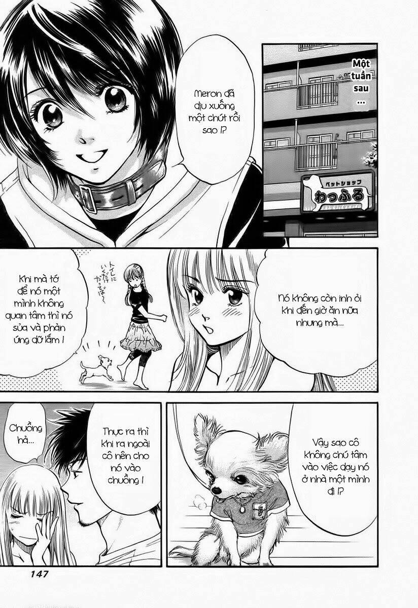 cô nàng yêu chó chapter 38 13