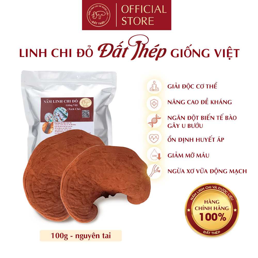 Trà Nấm Linh Chi Đỏ Đất Thép Giống Việt 100g (2 loại: Cắt lát hoặc nguyên tai) - Giải độc gan - Ổn định đường huyết