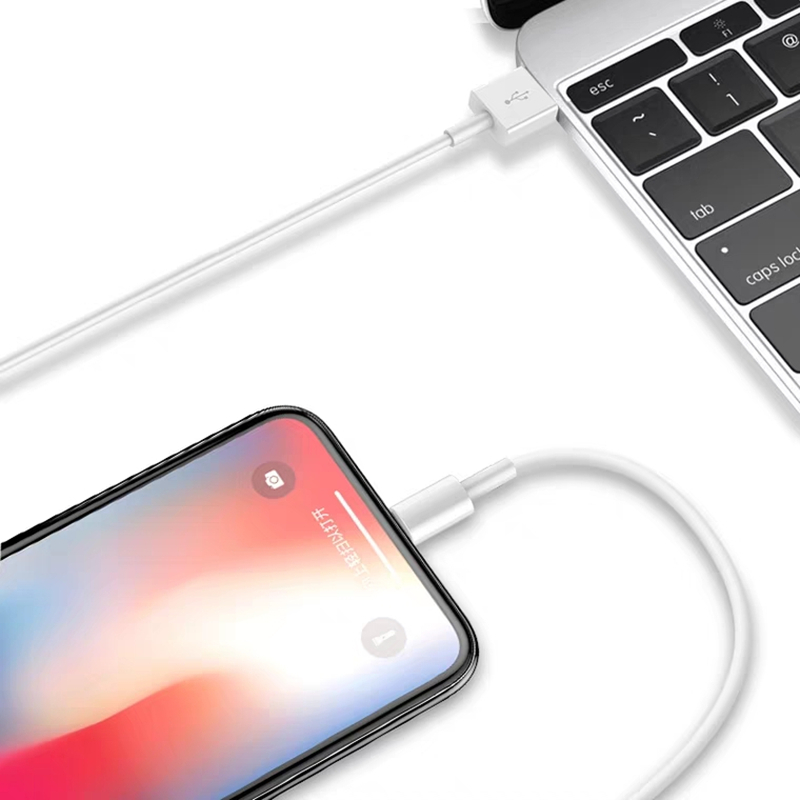 Cáp Sạc Nhanh Cho Iphone/ iPad Chuẩn MFI V5 Dài 1 Mét - Hàng Nhập Khẩu