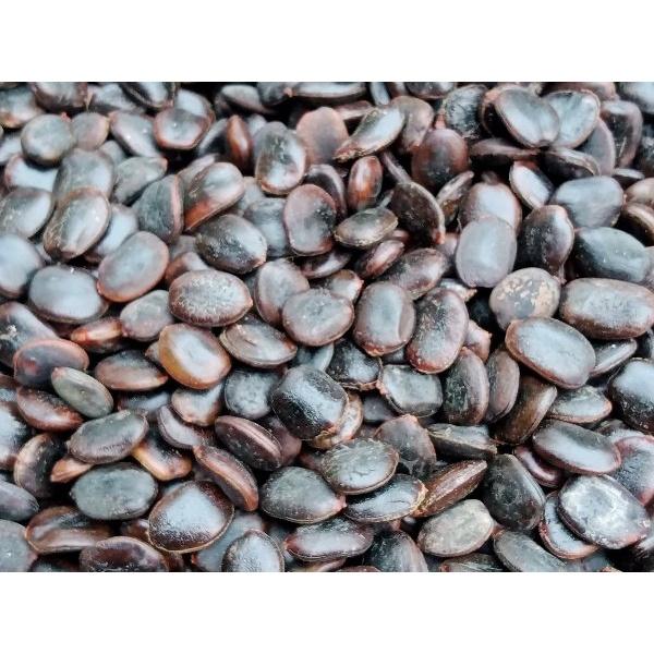 0.5 KG HẠT GIỐNG LIM XẸT
