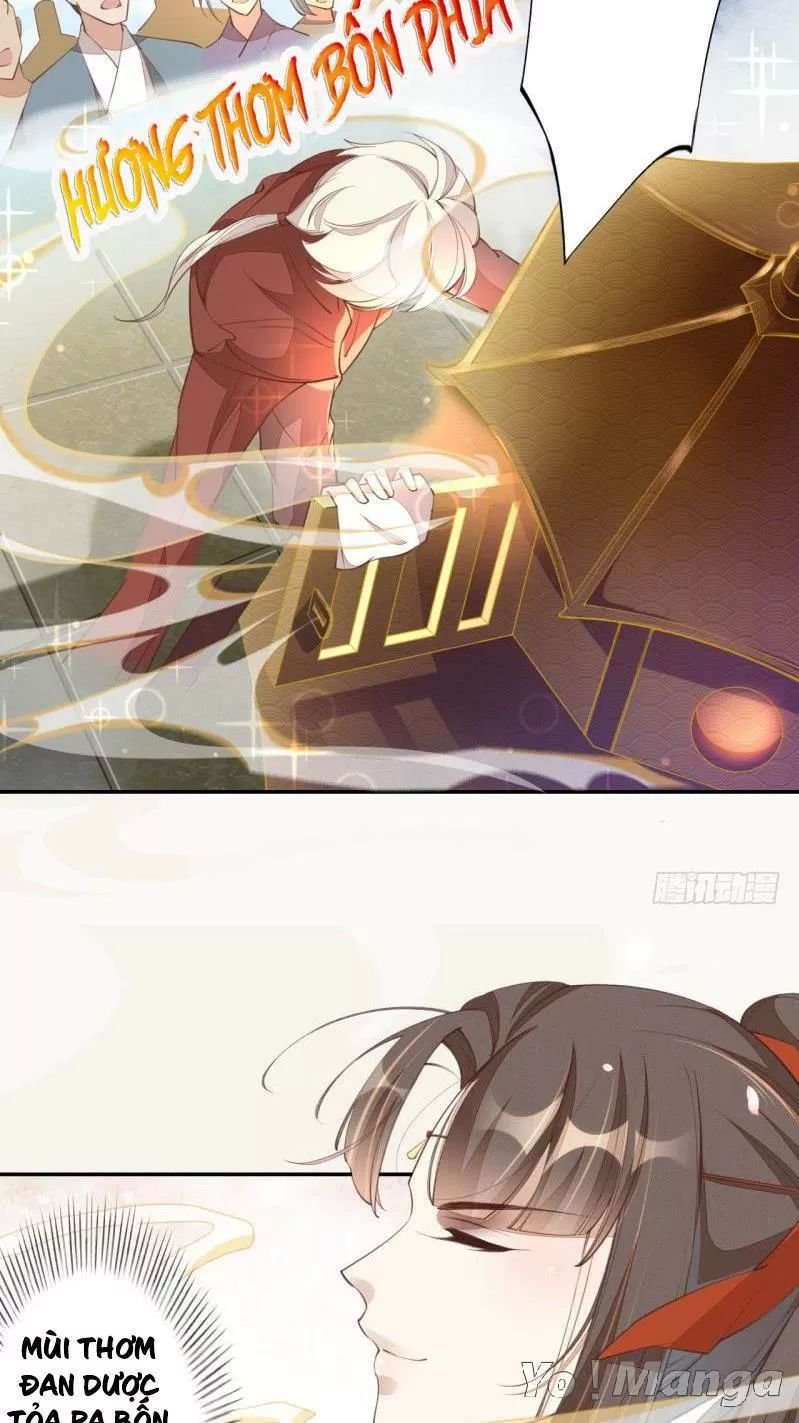 tuyệt thế luyện đan sư chapter 66 19