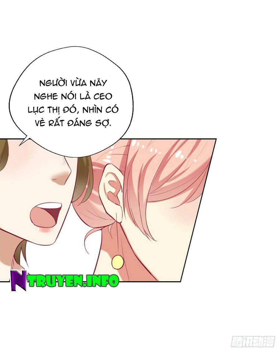 ngạo kiều tổng tài sủng điềm thê chapter 6 10