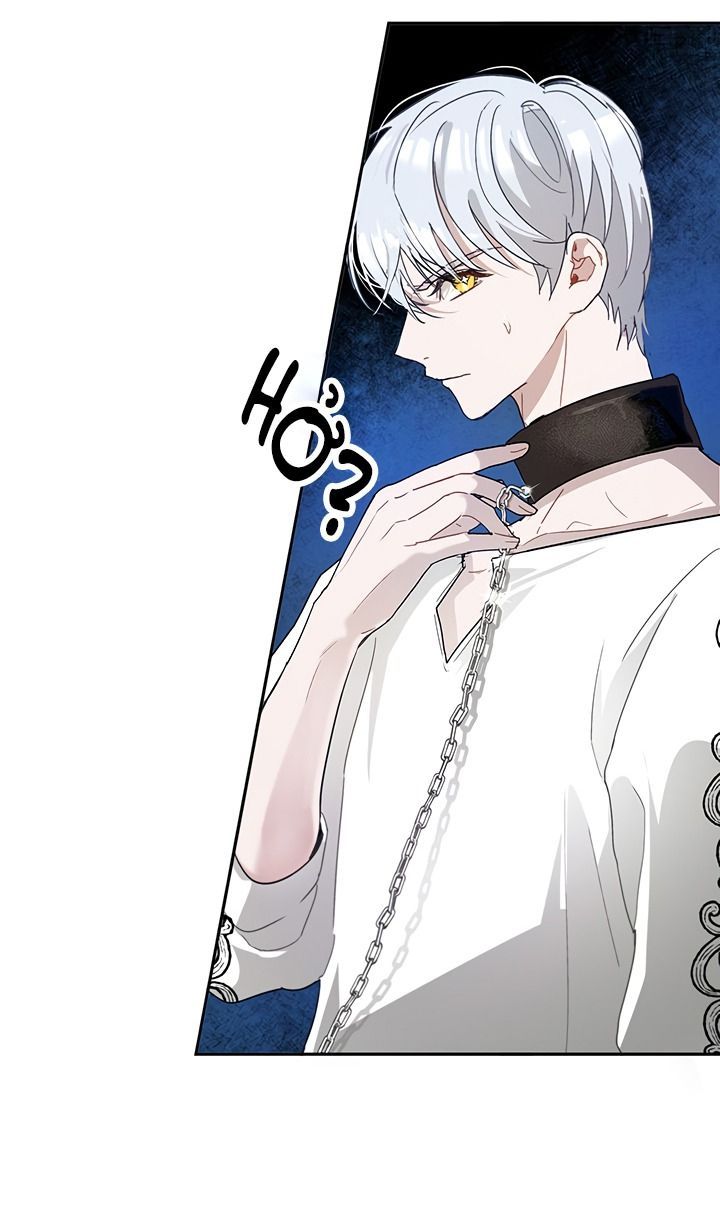 cách để cứu rỗi anh trai của nữ chính chapter 11 42