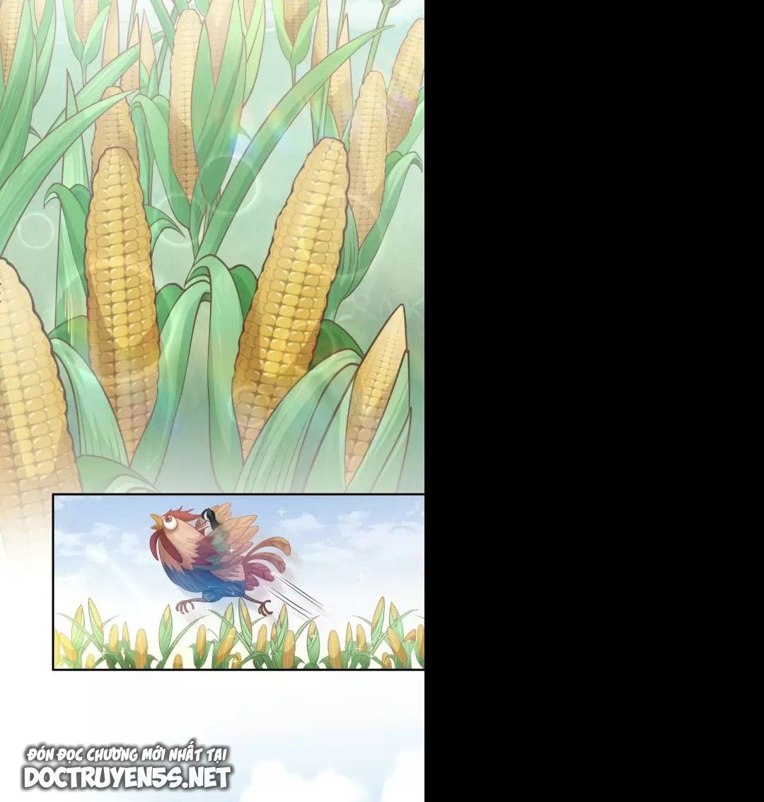 ảnh hậu một tuần mập ba cân chapter 4 23