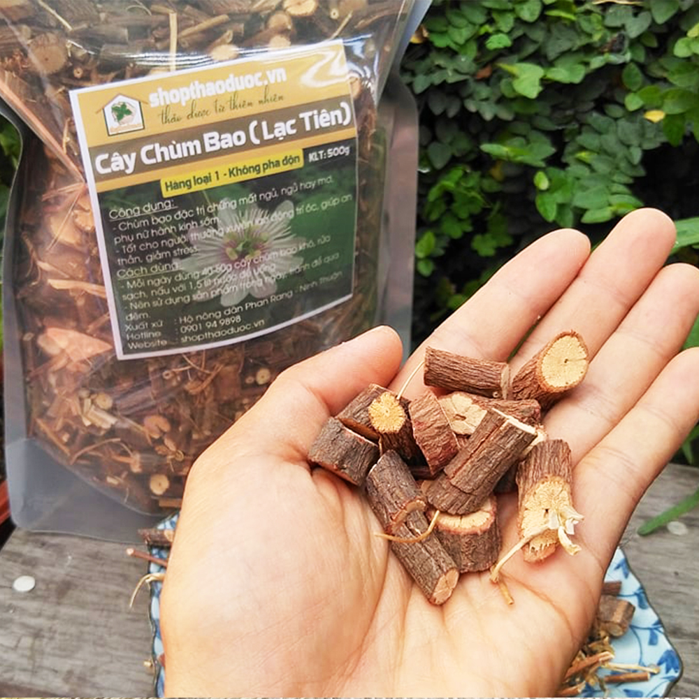 Cây Lạc Tiên Shop Thảo Dược 500G - Hỗ Trợ Giảm Suy Nhược Thần Kinh, Giúp An Thần, Giúp Thanh Nhiệt, Giải Độc, Giúp Bảo Vệ Gan, Giúp Bảo Vệ Tim Mạch, Giúp Tăng Cường Khả Năng Miễn Dịch.
