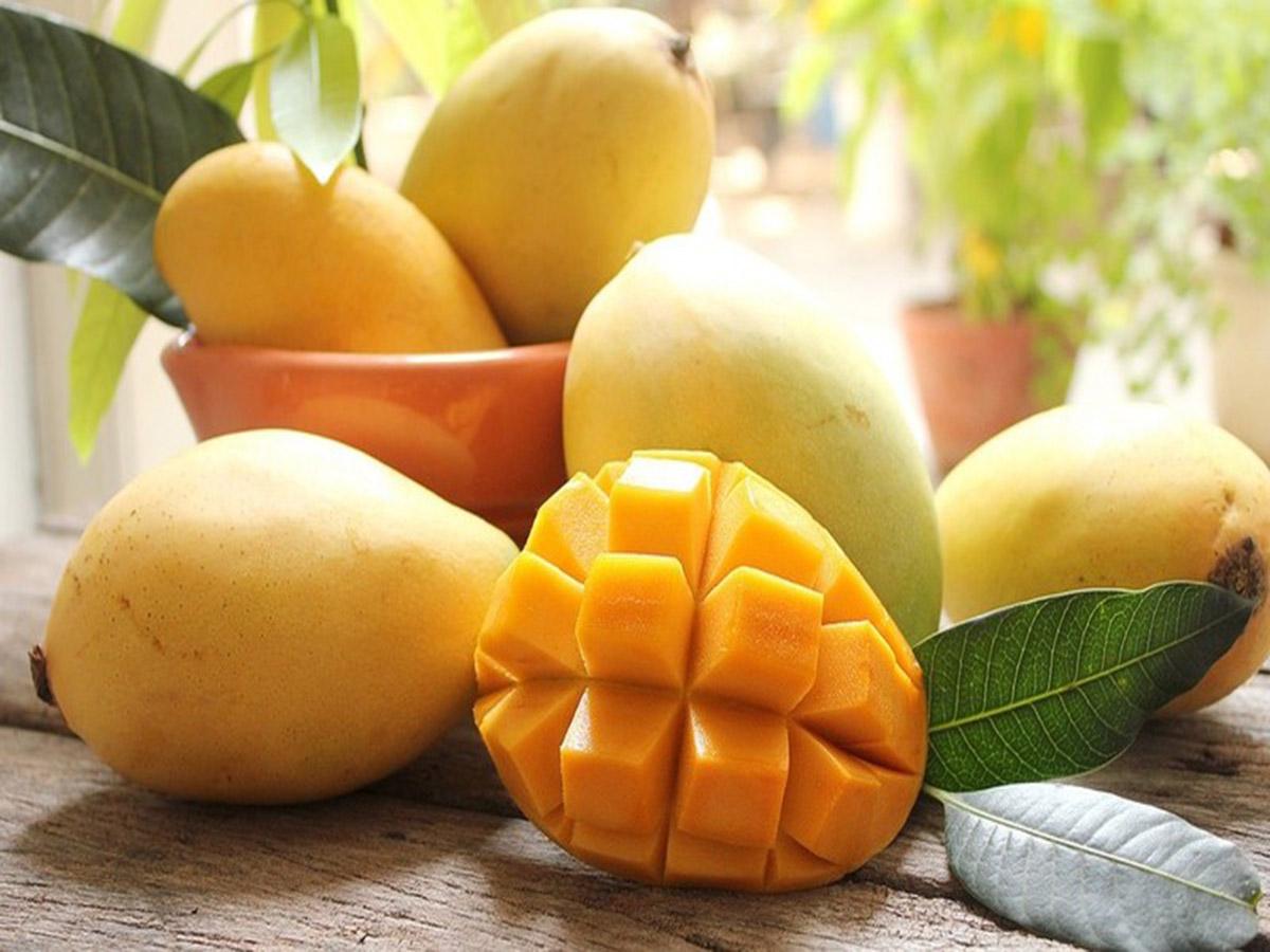 Ly nến thơm tinh dầu Bolsius Exotic Mango 105g QT024334 - hương xoài rừng, nến trang trí, thơm phòng, thư giãn, Hỗ trợ khử mùi