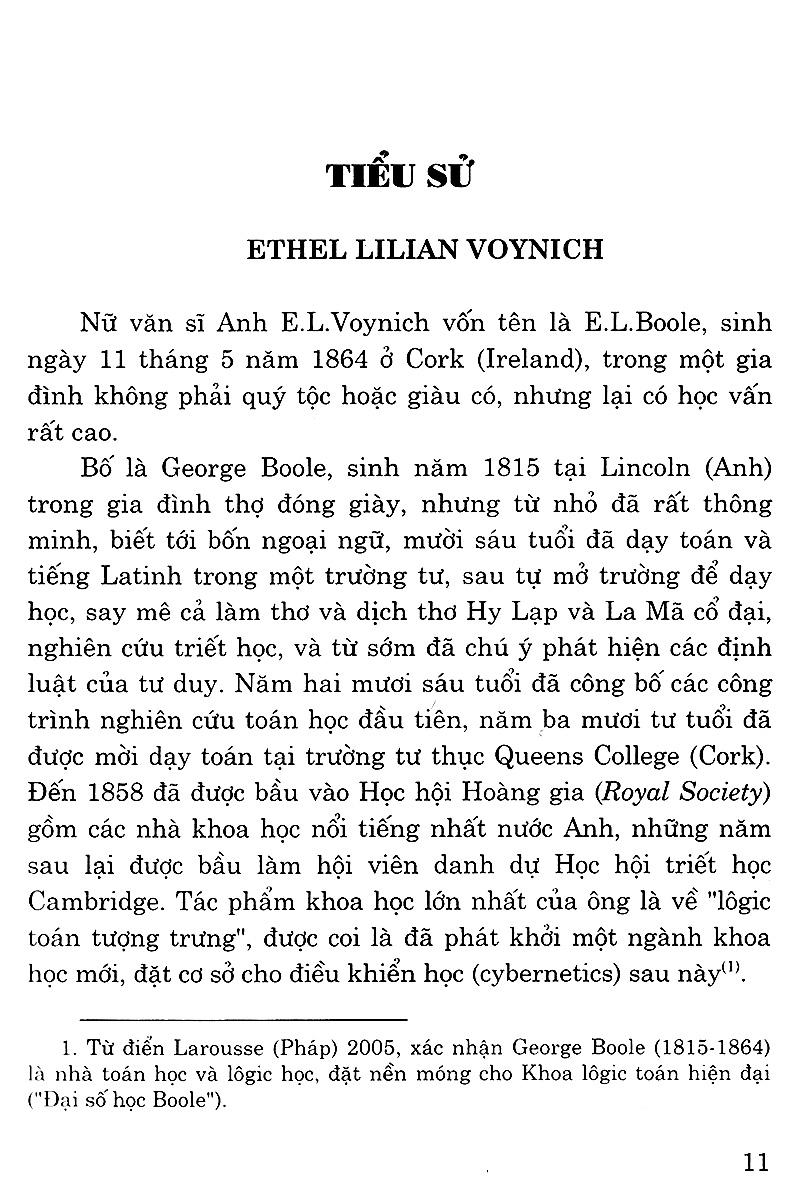 Sách Ruồi Trâu (Tái Bản)