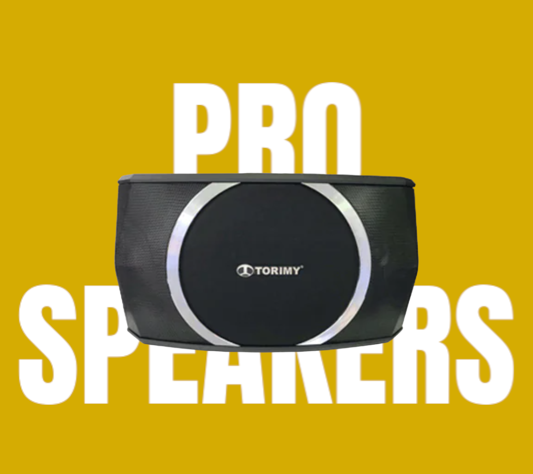 Loa Karaoke gia đình Torimy RT-869 Bass 25 cm, 3 đường tiếng(Hàng Chính Hãng)