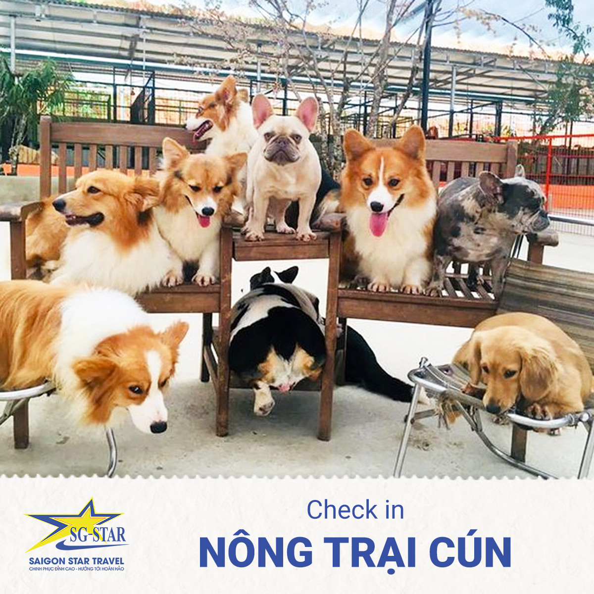 Tour Sài Gòn đi ĐÀ LẠT 3N3Đ - Lang Biang - Vườn Hoa Cẩm Tú Cầu - Nhà Thờ Domain De Marie - Vườn Dâu Tây - Giao Lưu Văn Hóa Cồng Chiêng
