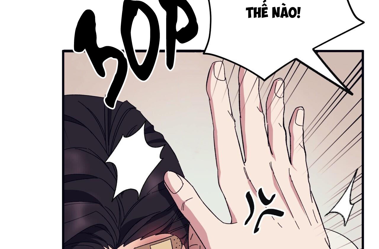 chàng dâu nhà họ kang chapter 42 29