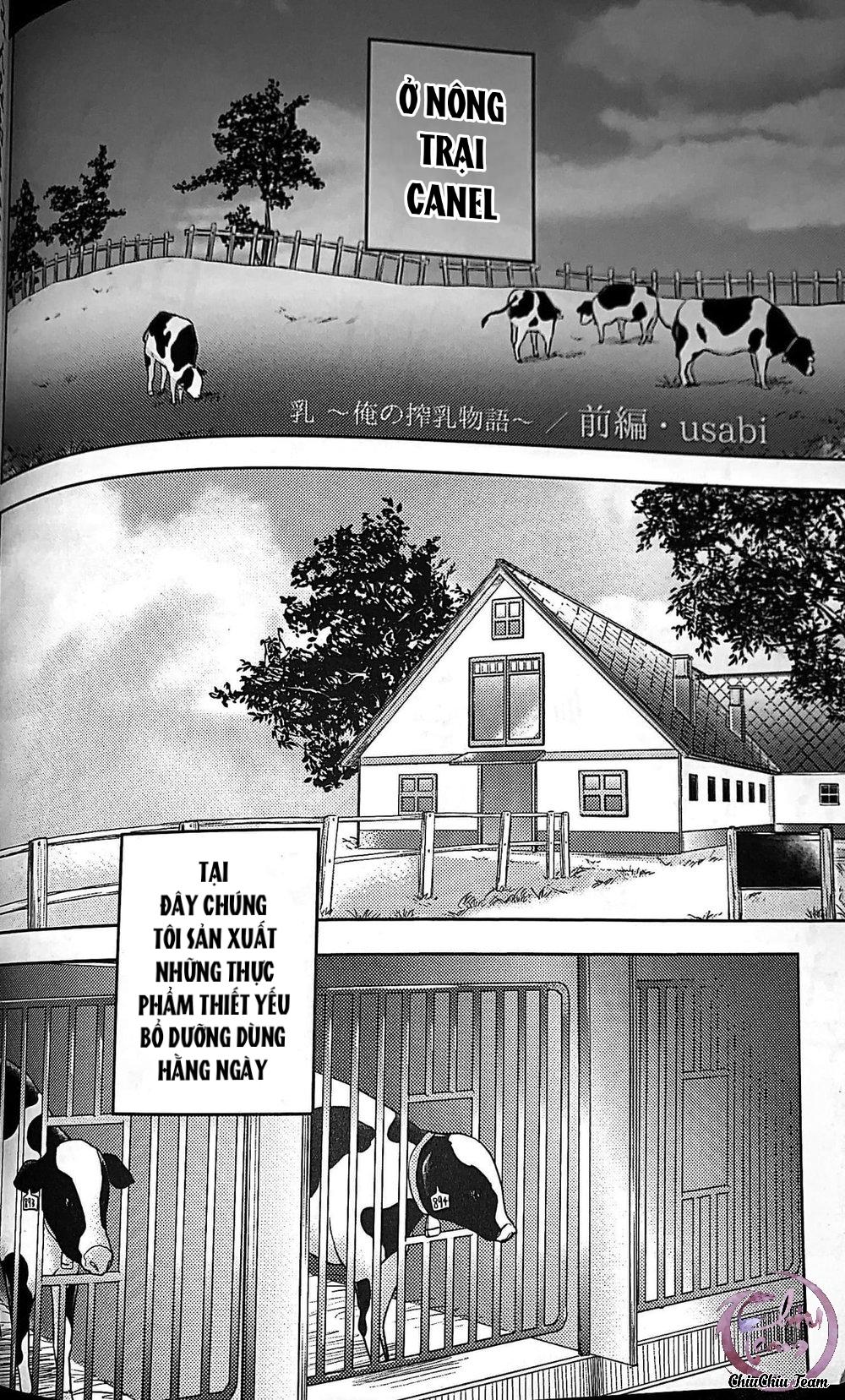 giang sơn tuyệt mỹ không bằng nàng chapter 41 1