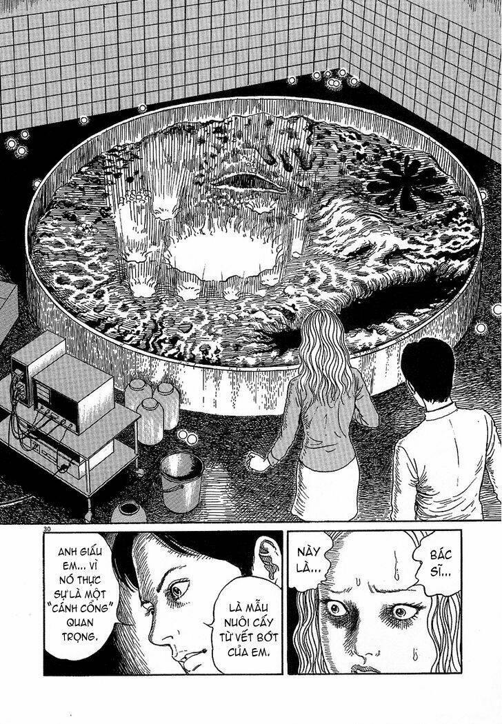 black paradox chapter 5 29