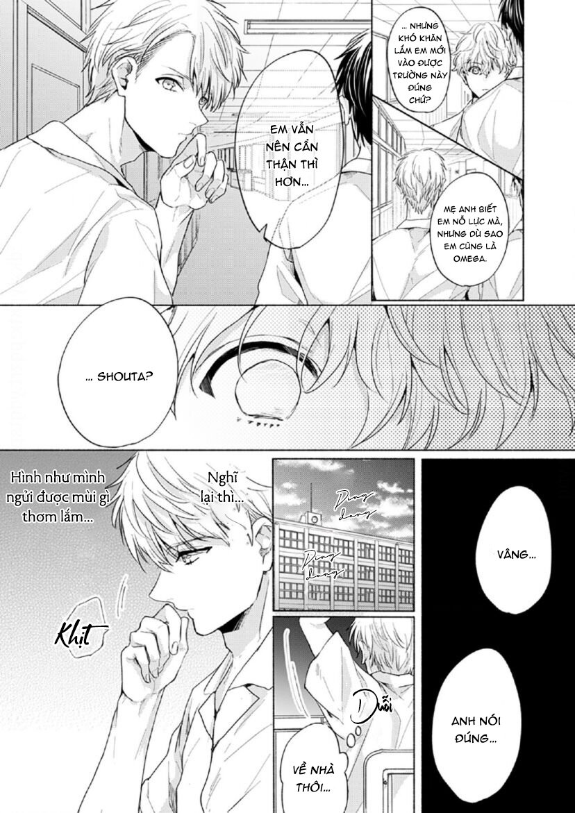 vết cắn tình đầu chapter 4 6