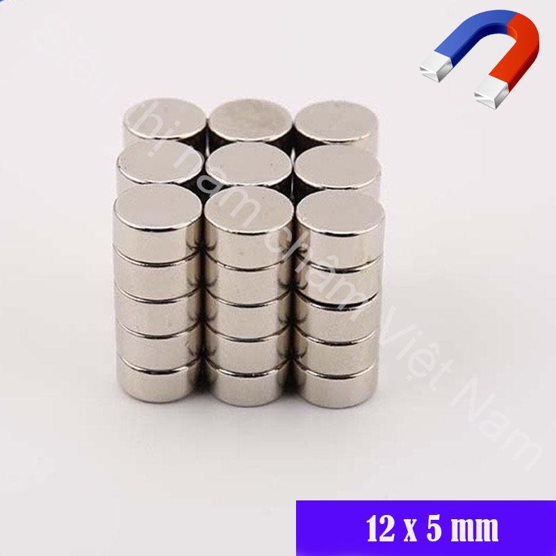 Nam châm 12x5mm viên hình tròn màu trắng bạc siêu mạnh