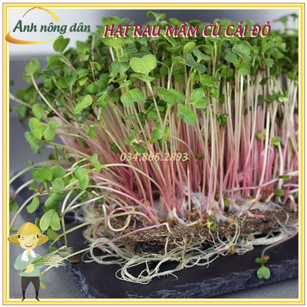 Set 3 Gói 50g/gói Hạt rau mầm rau Củ cải Đỏ - Hạt rau chất lượng cao, nảy mầm đồng đều