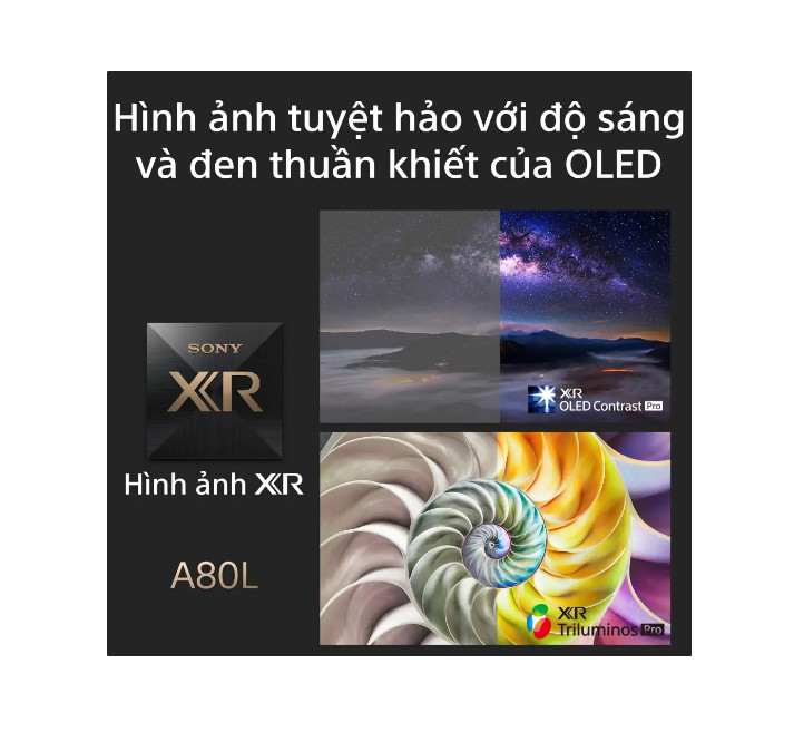 Google Tivi OLED Sony 4K 65 inch XR-65A80L - Model 2023 - Hàng chính hãng - Chỉ giao Hà Nội