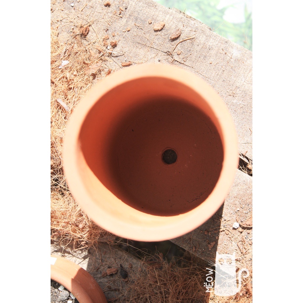Chậu đất nung Trụ cao | Chậu trồng cây, sen đá, xương rồng