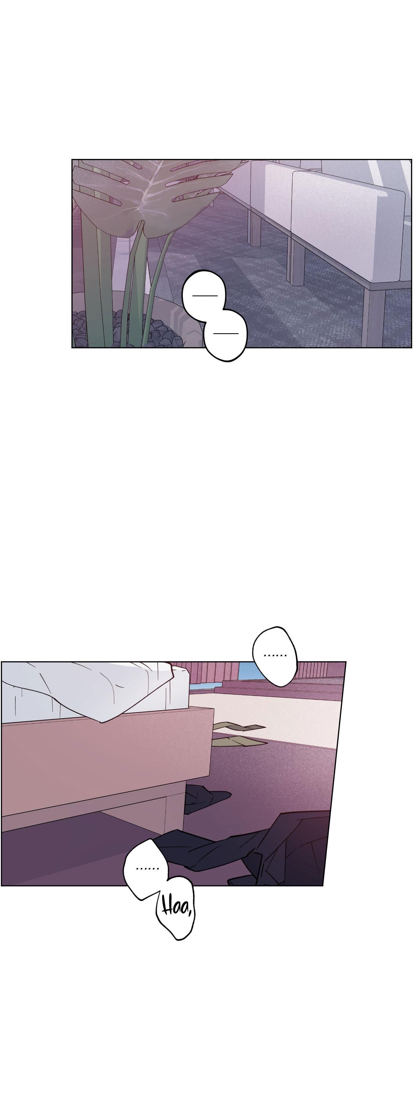 bình minh của rồng chapter 12 4