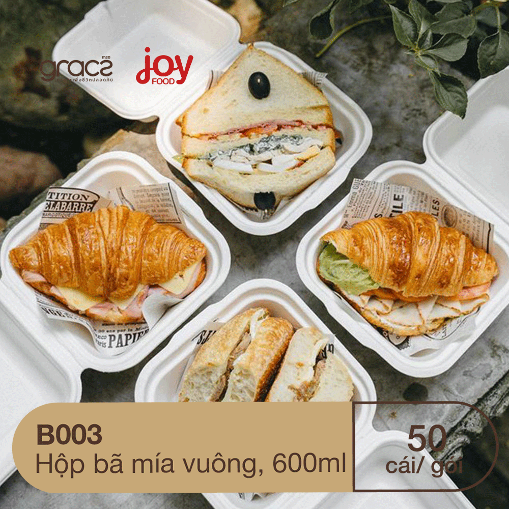 50 hộp bã mía Gracz hình vuông 17.5x17.5x50 cm