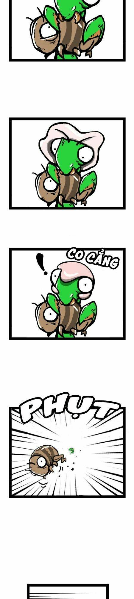 earth, human, and animal chapter 19 3