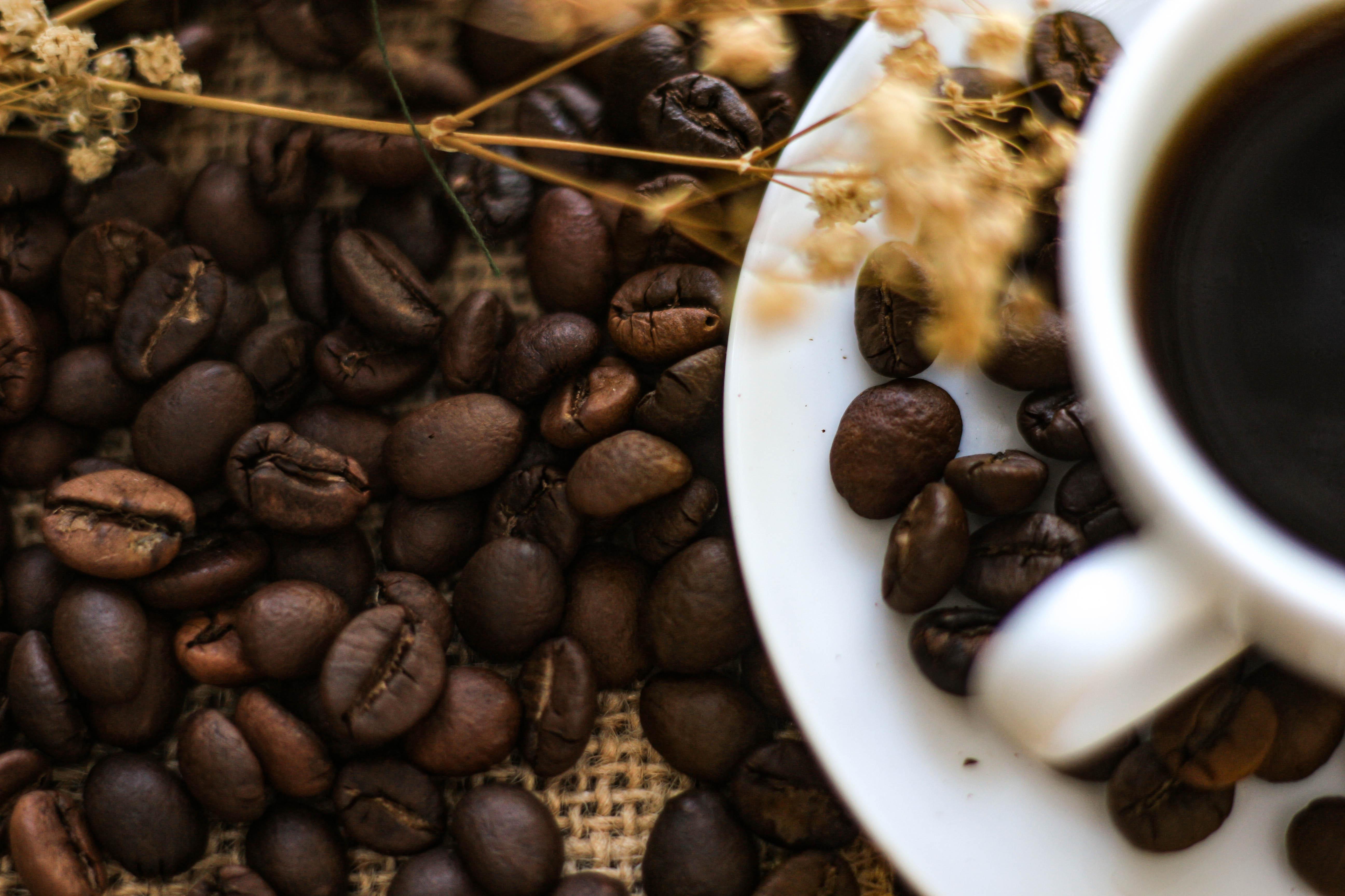 BỘT CÀ PHÊ RANG XAY NGUYÊN CHẤT - RANG MỘC ROBUSTA - M&T FINE COFFEE
