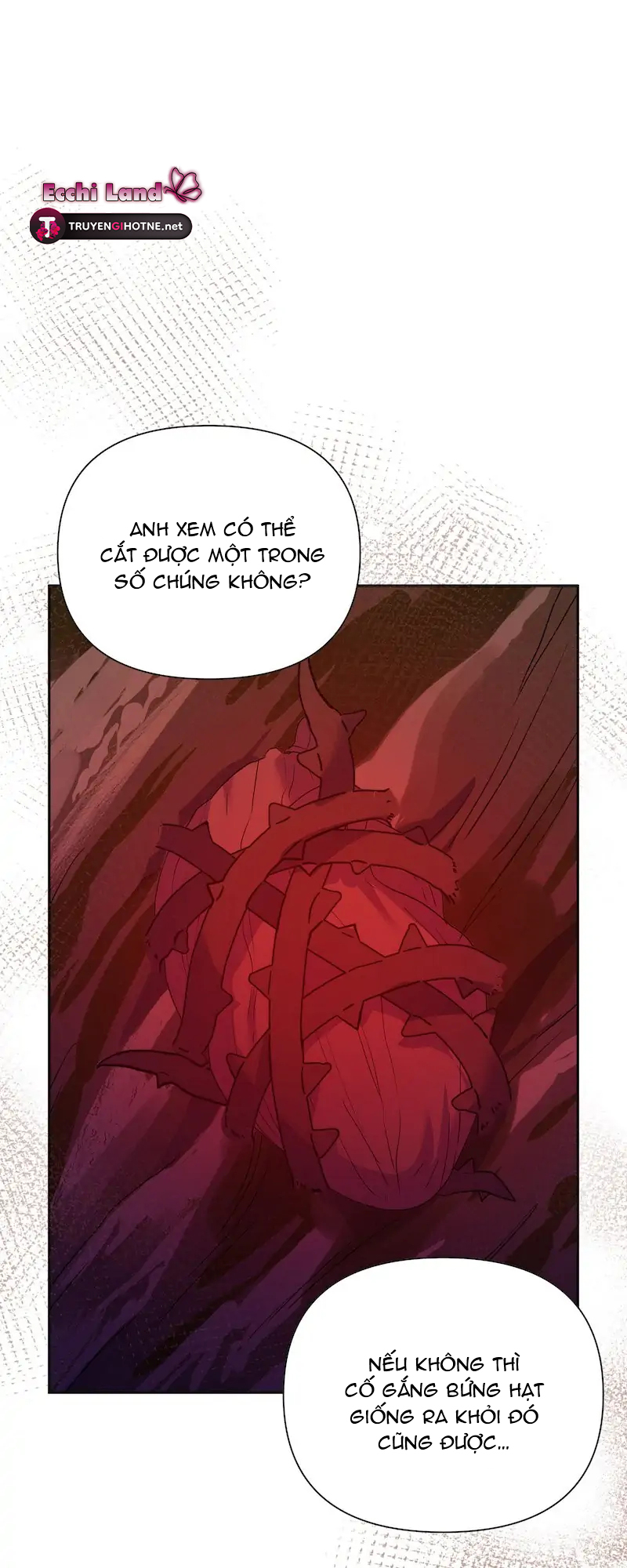 Hoa Cúc Trong Lồng chapter 38.1 - Trang 2