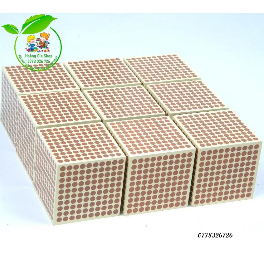 Bộ 9 khối gỗ 1000 (9 Wooden Thousand Cubes)
