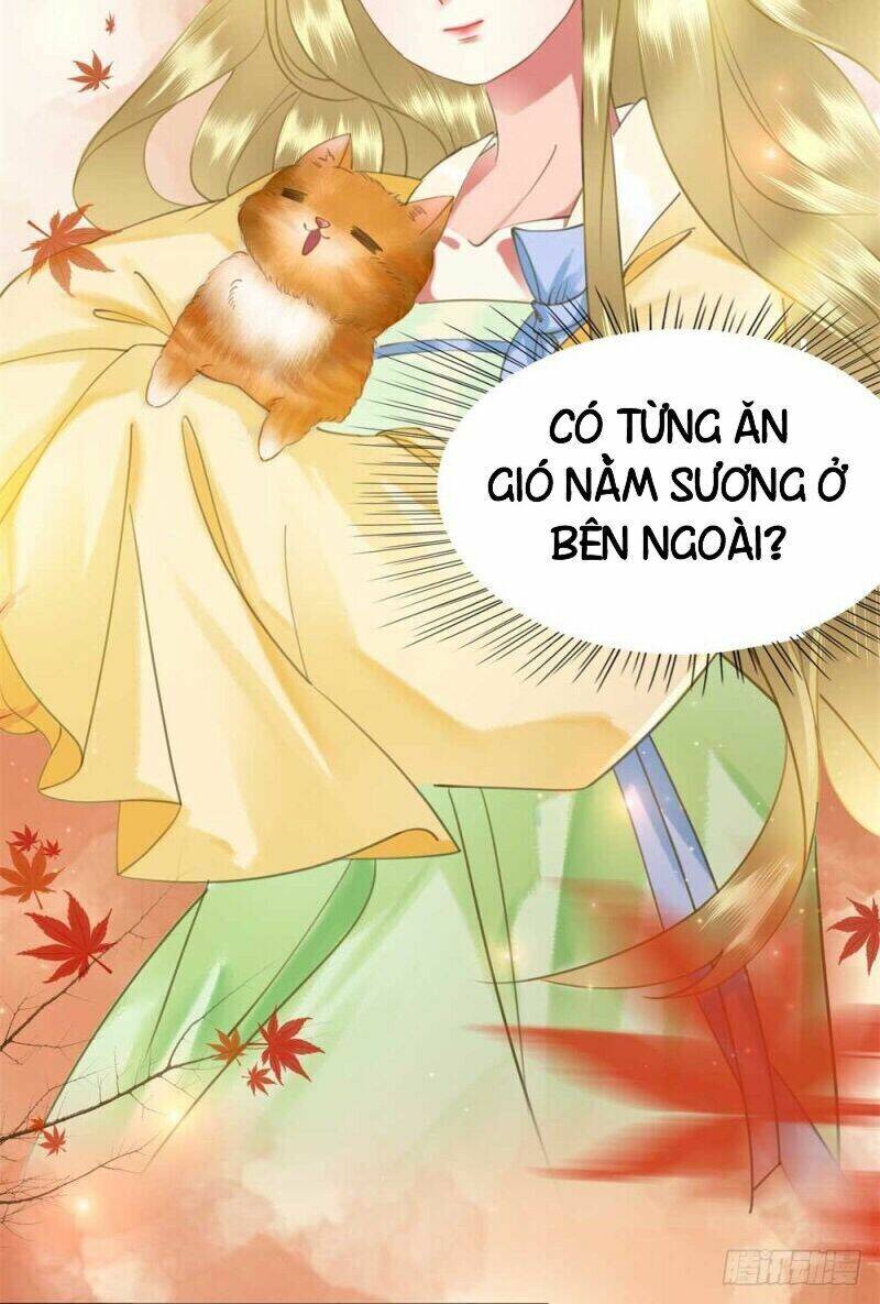 gay rồi! cái đó thành tinh rồi chapter 57 59