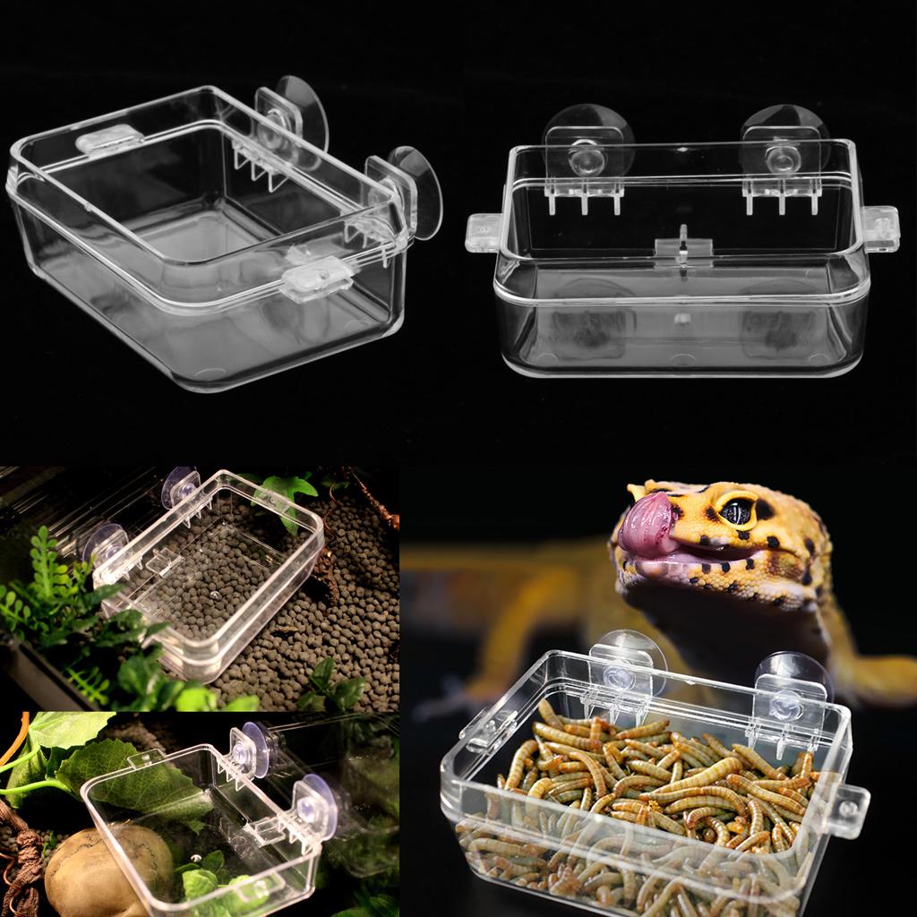 2x Tortoise Lizard Gecko Reptile Feeding Terrarium Water Dish & Food Bowl
