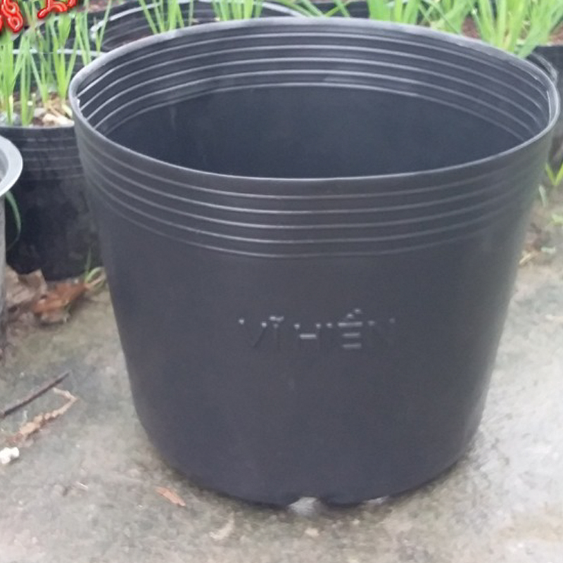 50 Chậu 25x21x21cm nhựa PE dẻo trồng cây bền từ 5 đến 10 năm-0277105