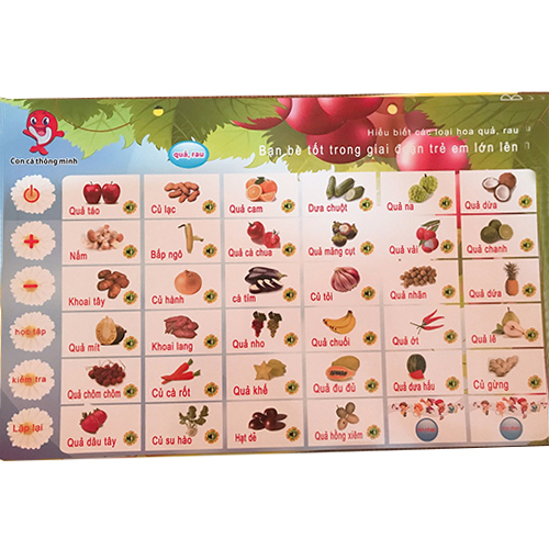 Combo 5 chủ đề Bảng điện tử song ngữ Anh - Việt cho bé BSR06