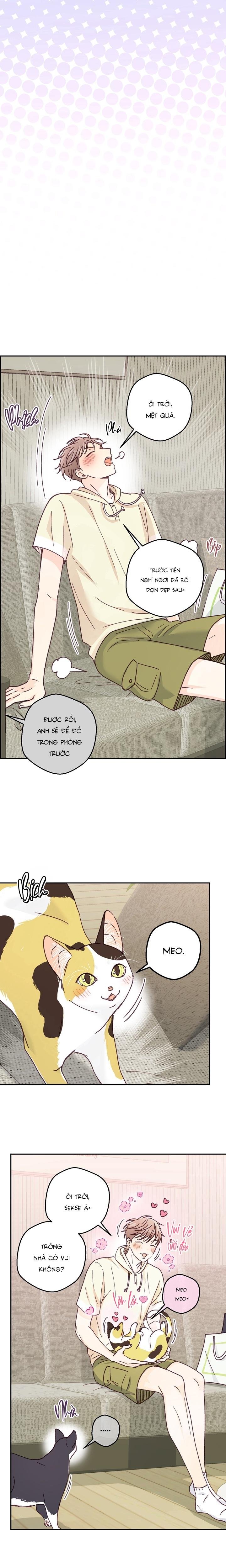 bạn trai vô song của tôi Chapter 35 NT3 H+ 14