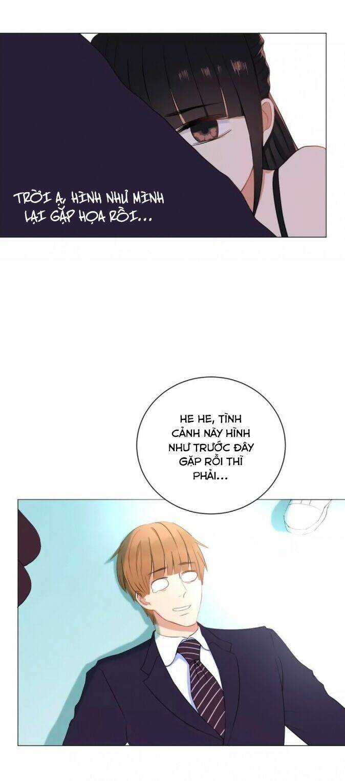 chào buổi sáng, hướng dương chapter 41 19
