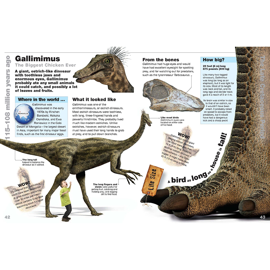 Dinosaurs Life Size: Discover How Big They Really Were