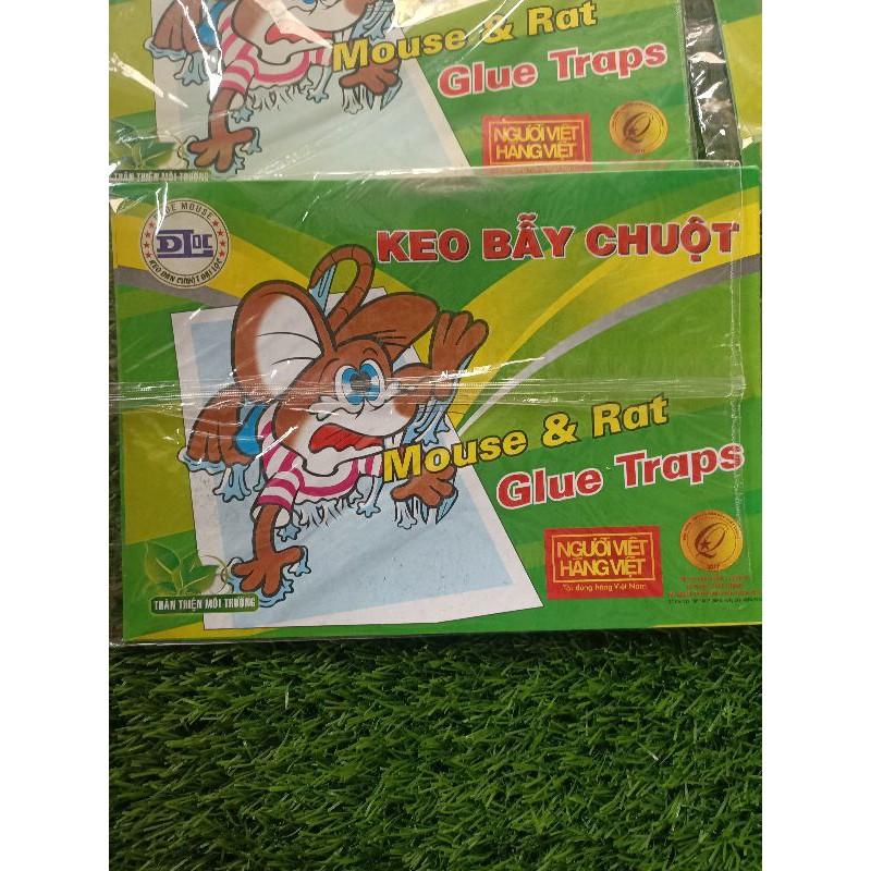 10 miếng bẫy chuột Đại Lộc