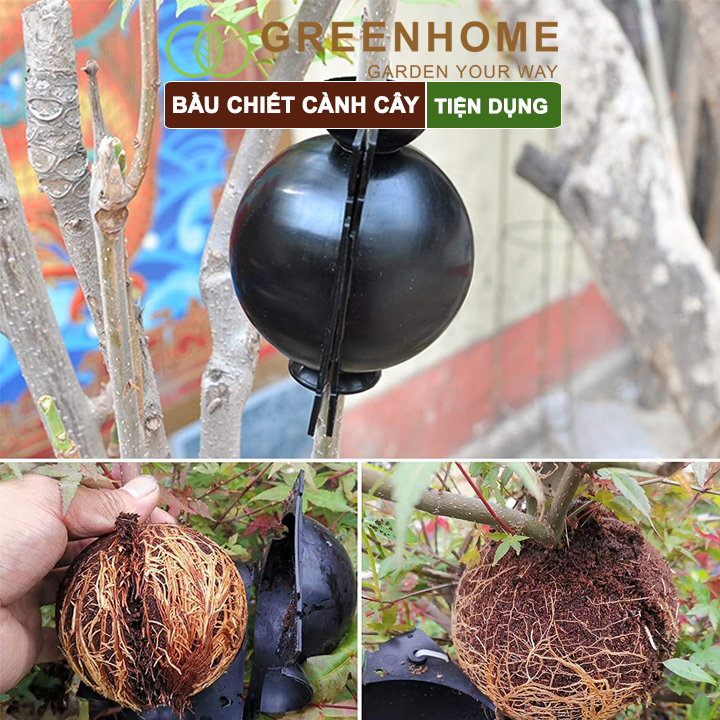 Bầu chiết cành cây Greenhome, tăng khả năng ra rễ, chống úng cành chiết, tái sử dụng nhiều lần, nhiều kích thước