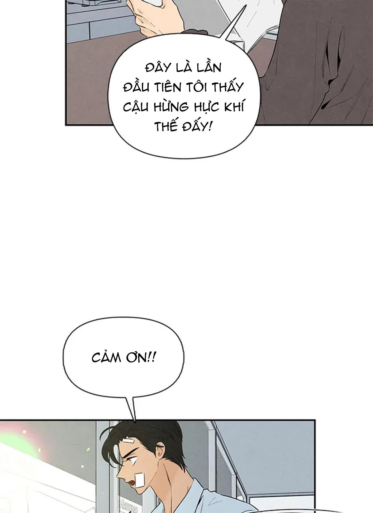 bona sort chapter 65 96