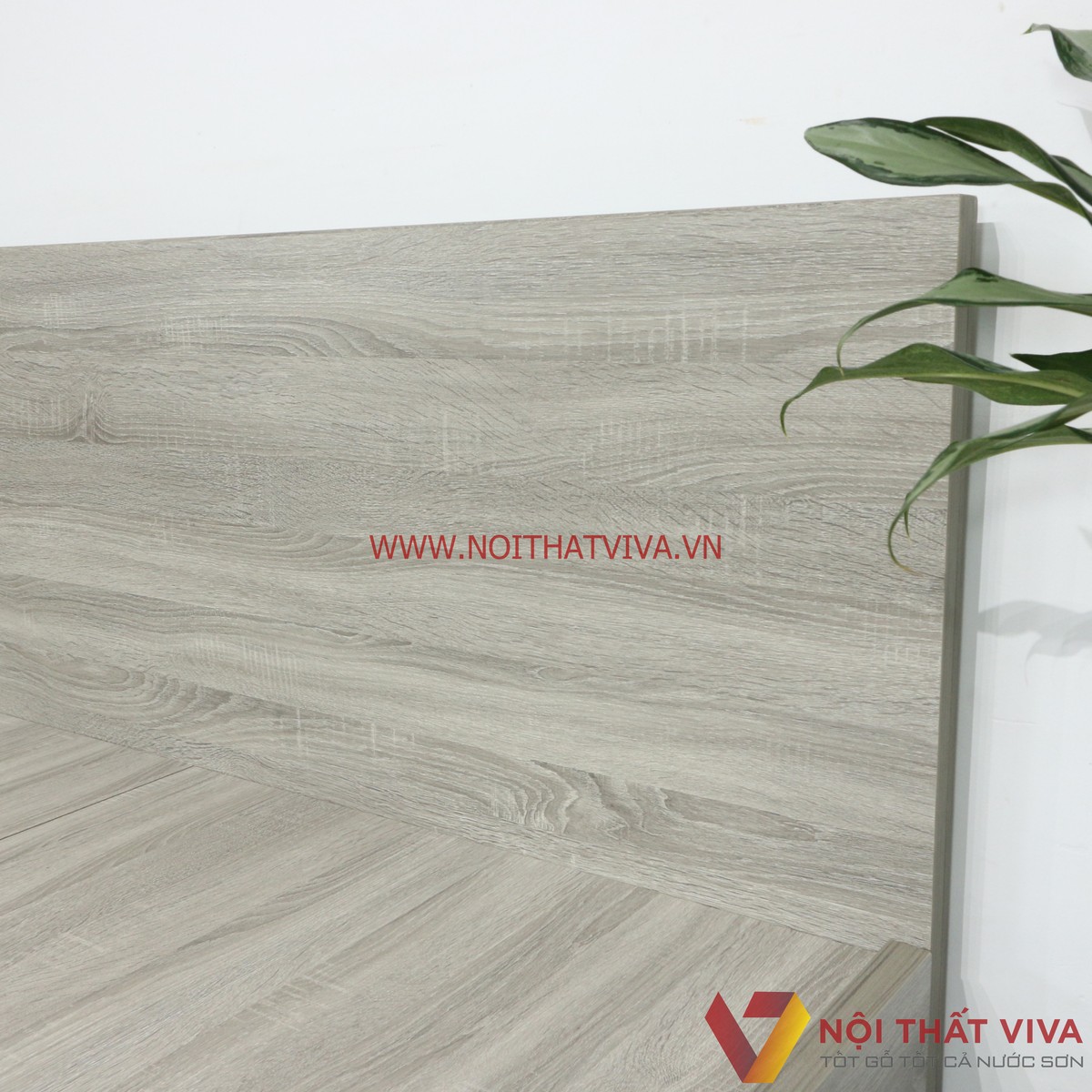 Giường Ngủ Gỗ MDF Melamine Màu Xám Vân Gỗ Có Đầu Nệm Đen Đẹp Hiện Đại