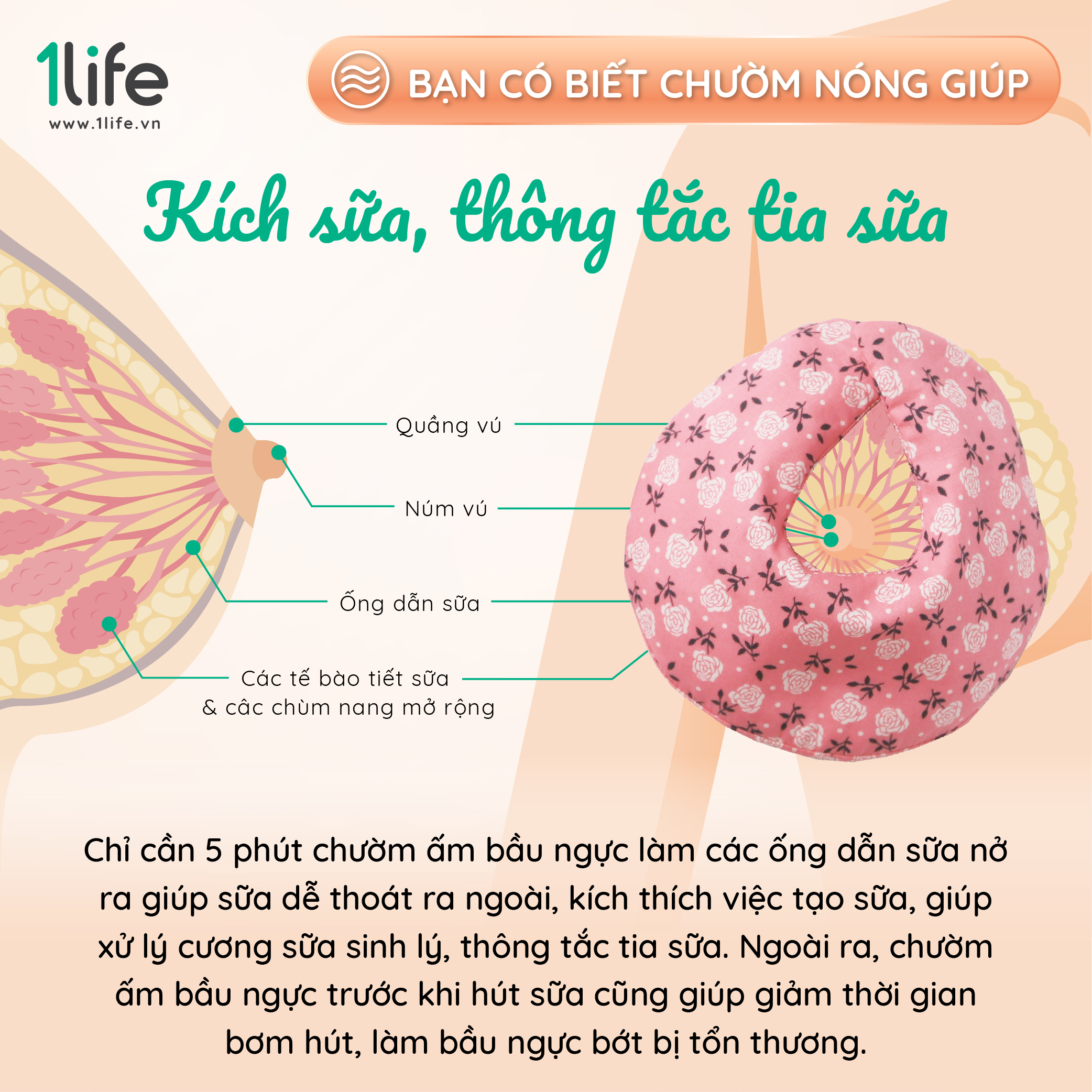 Túi chườm kích sữa 1Life