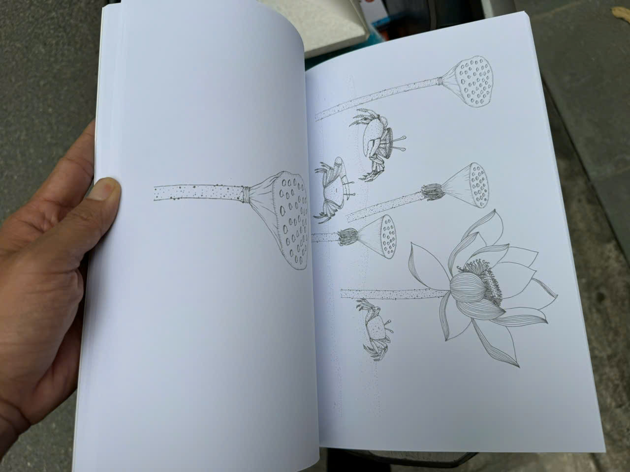 (Sách tô màu) TRONG ĐÀM GÌ ĐẸP BẰNG SEN – Nguyên Sinh – Thái Hà – NXB Công Thương