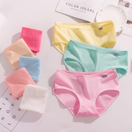 Quần lót nữ - Combo 5 - 10 quần lót cotton xuất Mỹ