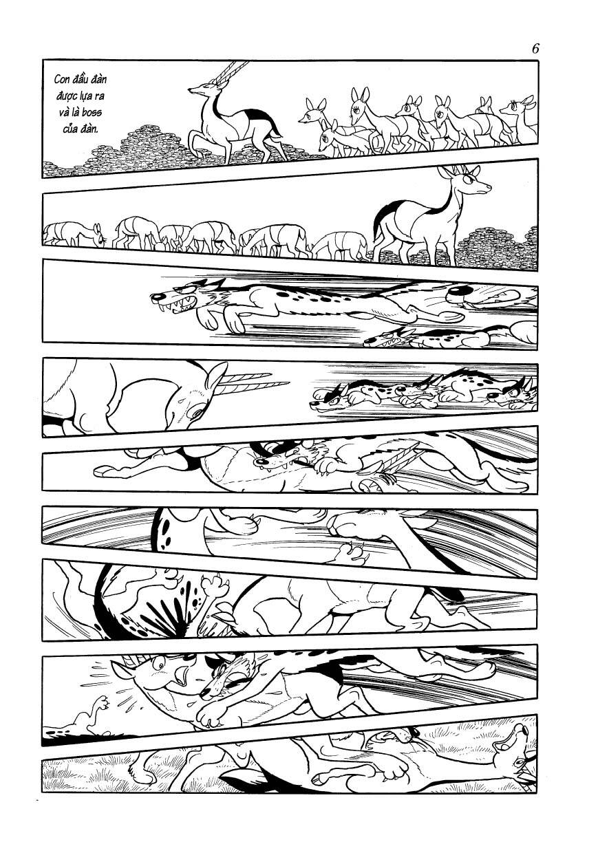 chim lửa chapter 77 9