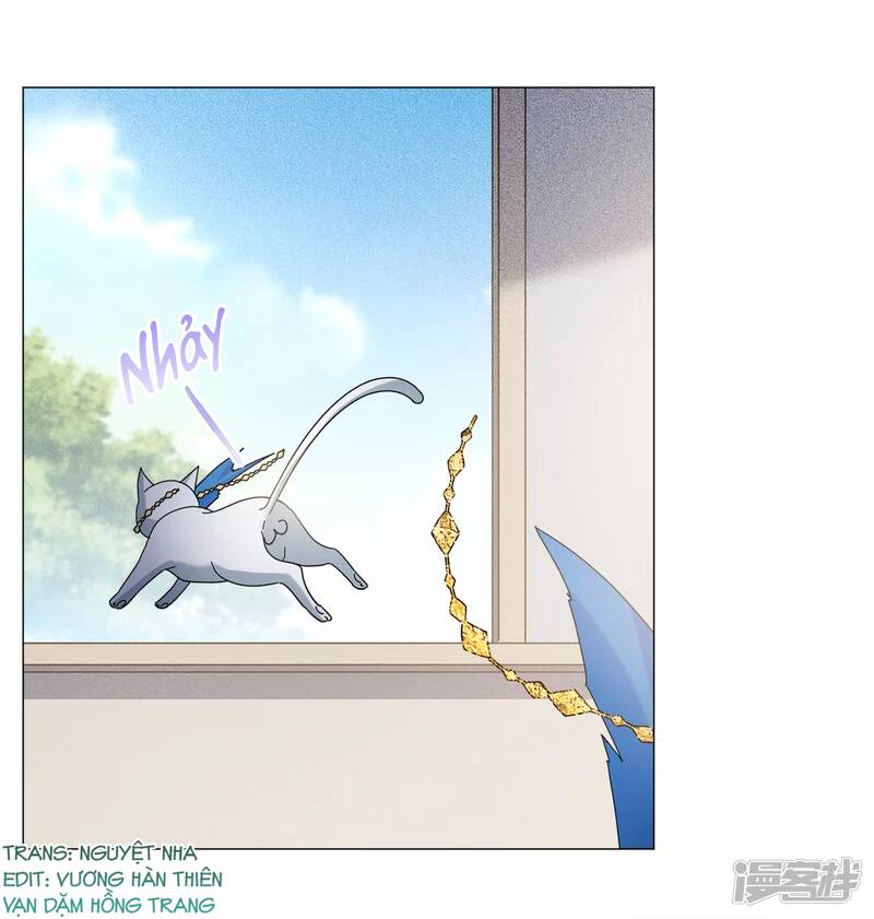 cô ấy đến rồi, xin nằm xuống! chapter 231 24