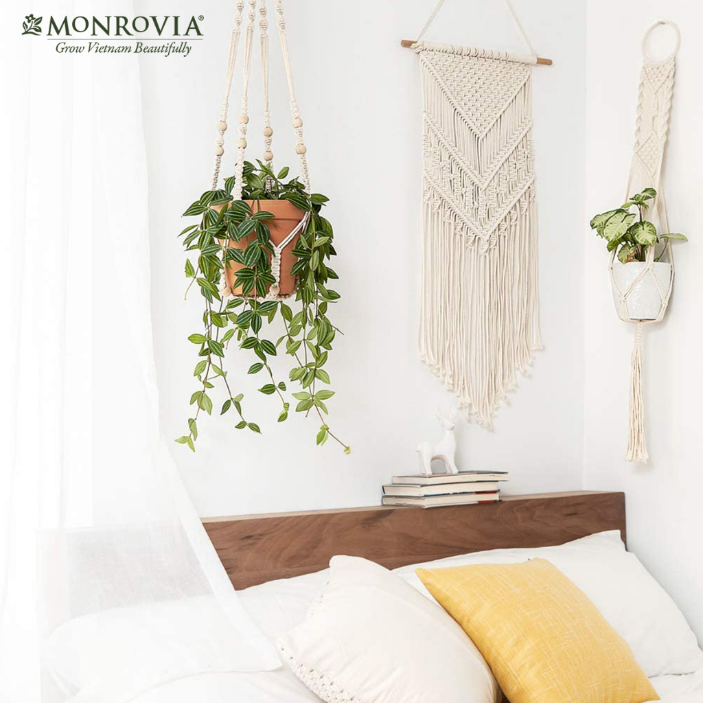 Combo 4 dây treo chậu cây Macrame MONROVIA, trang trí trong nhà, sân vườn, đan thủ công tỉ mỉ, Tiêu chuẩn Châu Âu