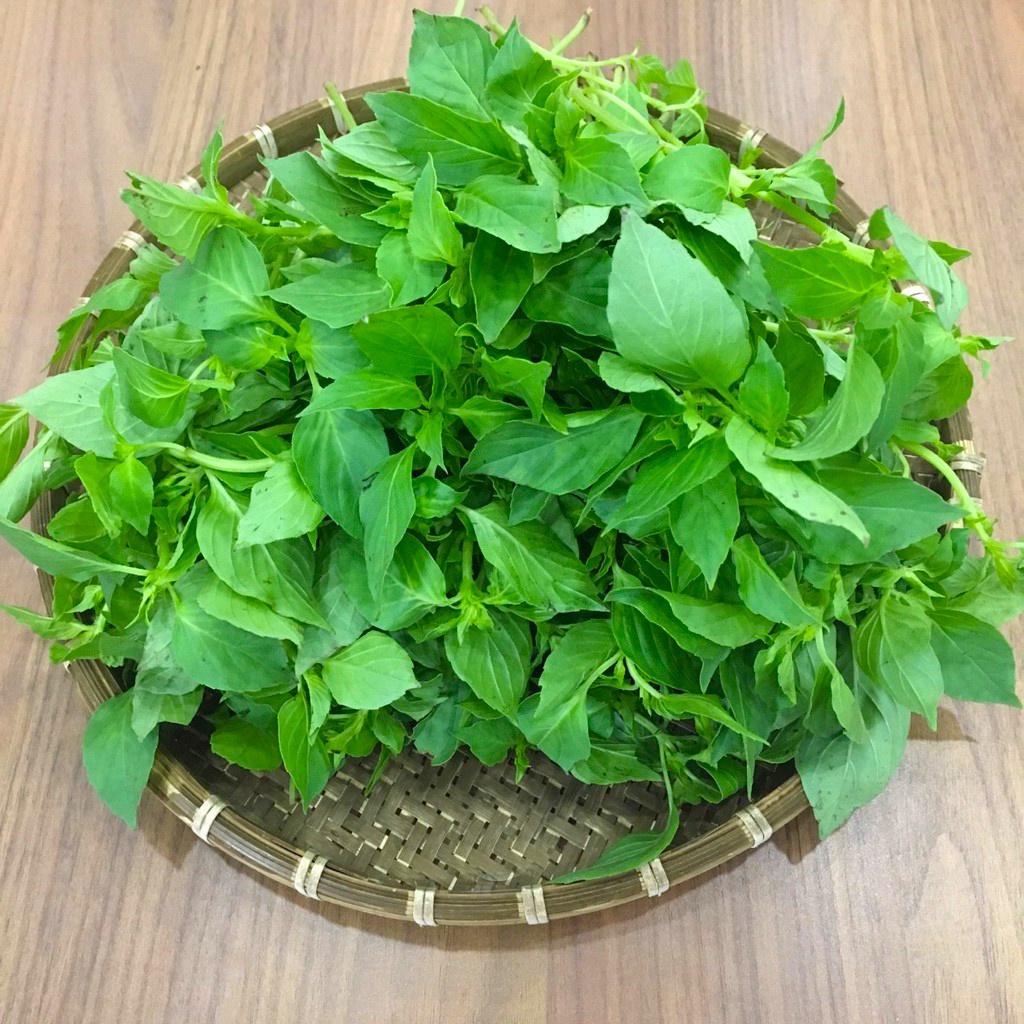 Hạt giống rau húng thơm - Rau thơm sả KNS3218 - Gói 2gram