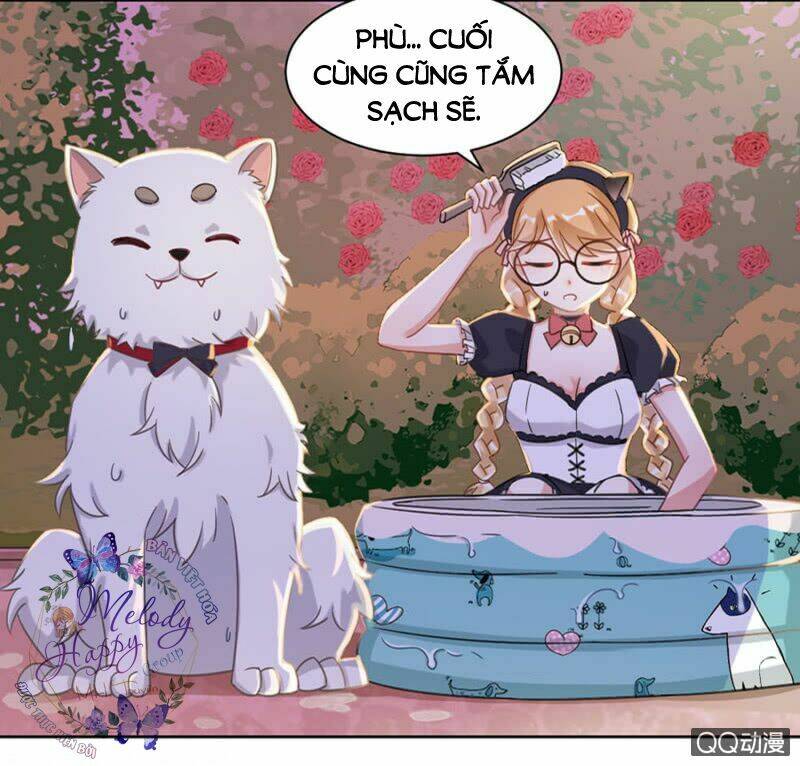 ma lạt thiên kim đẩu ác thiếu chapter 11 17