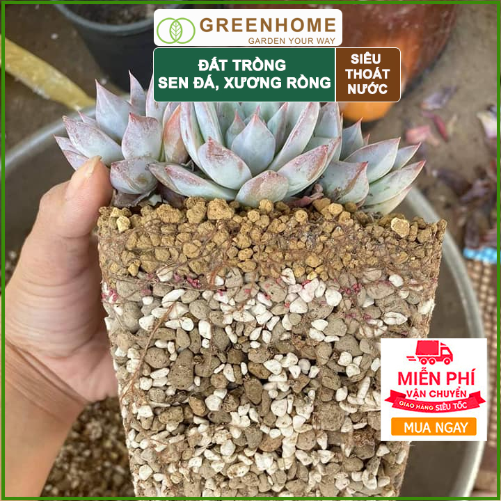 Bộ 2 Đất  SOIL MIX- Trồng sen đá, xương rồng-Giúp kích thích ra rễ, giữ các chất dinh dưỡng cho cây-(6KG/1 gói)