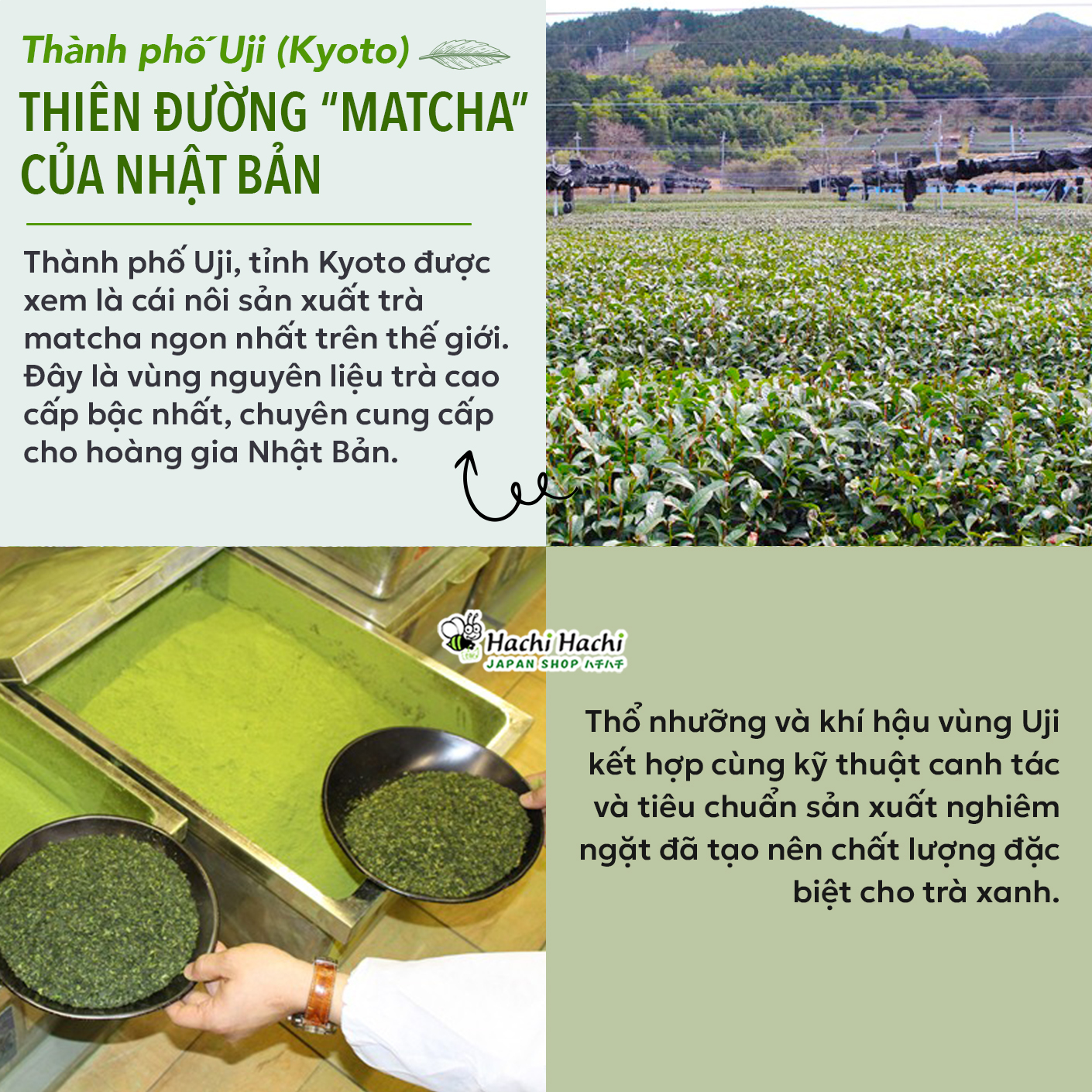 Bột Trà Xanh Yanoen Matcha Uji 30g