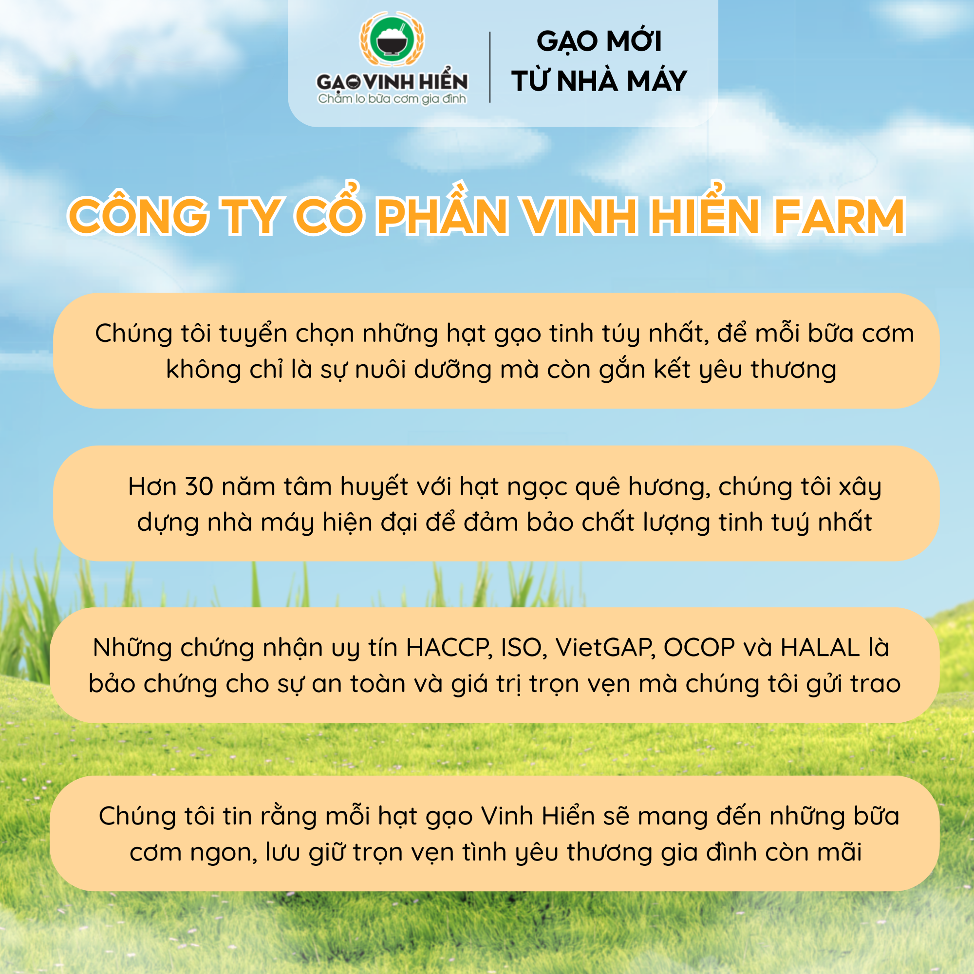 Combo 4 túi Nếp Cái Hoa Vàng Vinh Hiển - Tiết kiệm, siêu dẻo, thơm nhiều